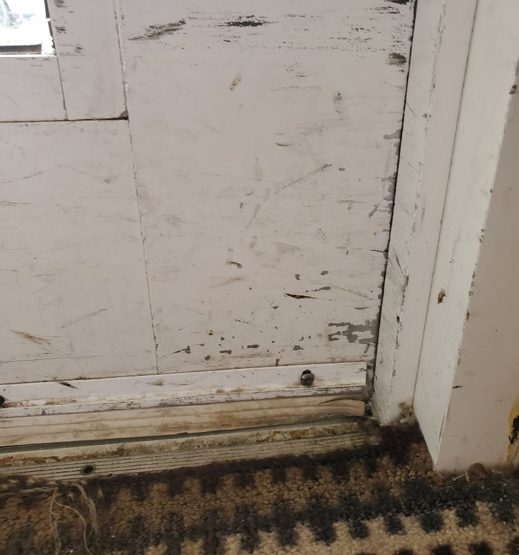 Country Inn & Suites by Radisson, Newnan, GA主图