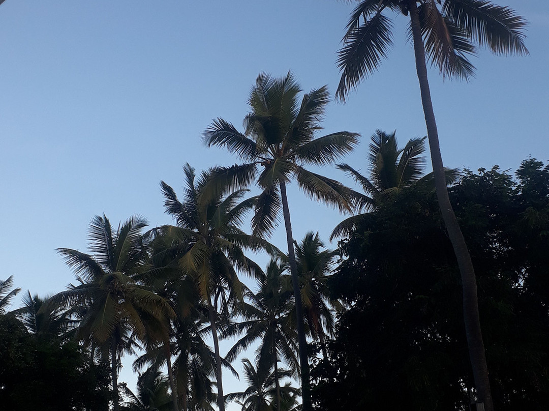 Pousada Terra Doce主图