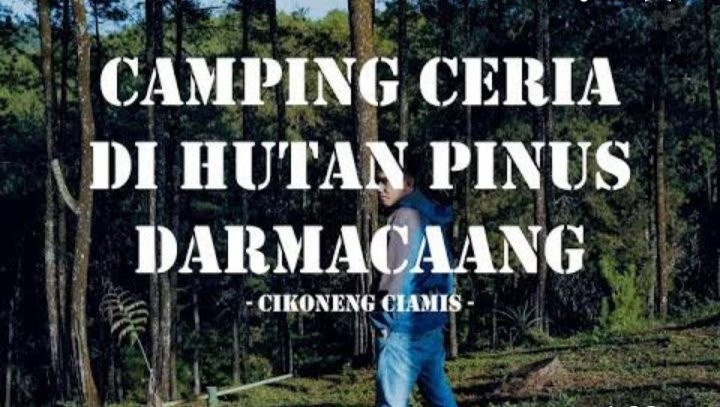 Darmacaang Pine Forest景点图片