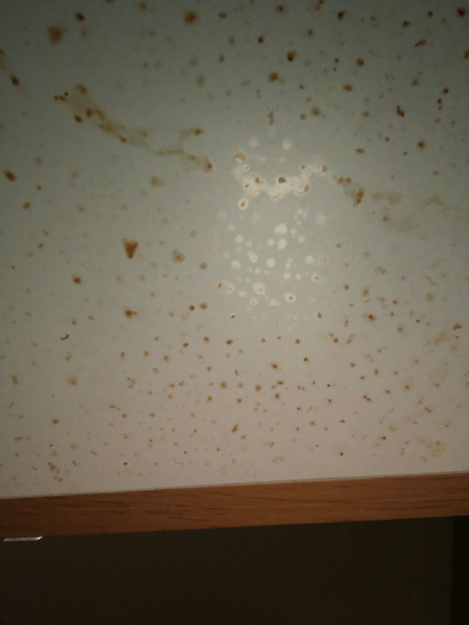 Culver House Hotel-餐饮