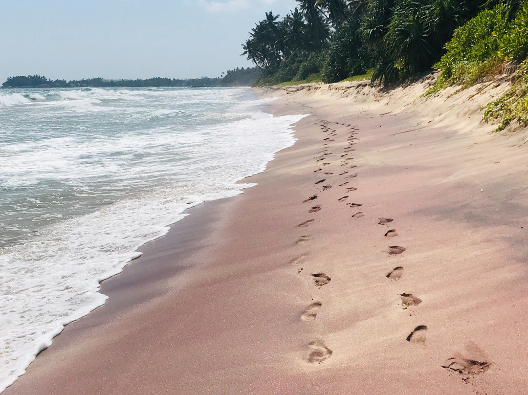 Kingdom Resort主图