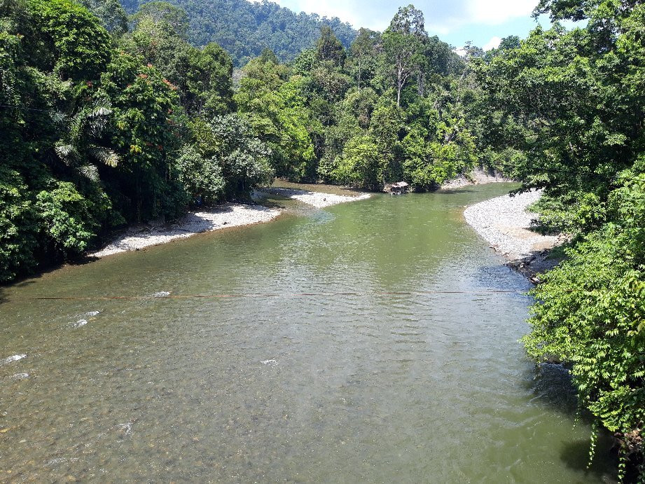 Elephant Camp-Tangkahan必去景点