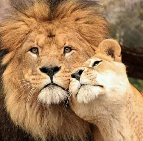 null-Kidepo Valley National Park