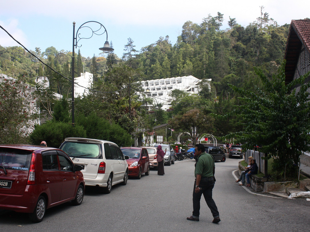 弗雷泽山莎泽恩酒店主图