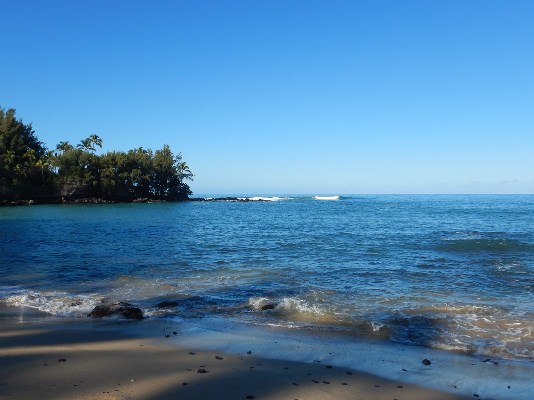 Waialea Beach景点图片