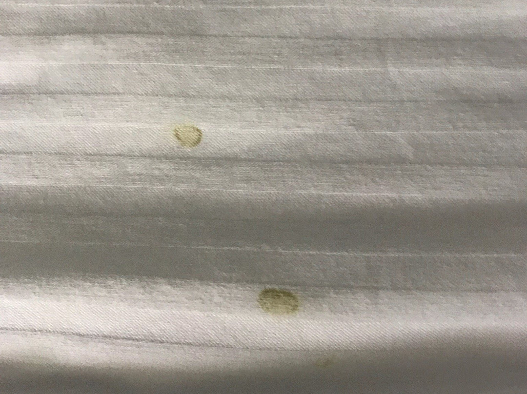 Best Western Plus Carrizo Springs Inn & Suites主图