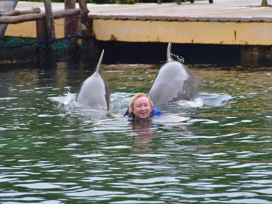 Delphinus Xel-Há-图伦必去景点