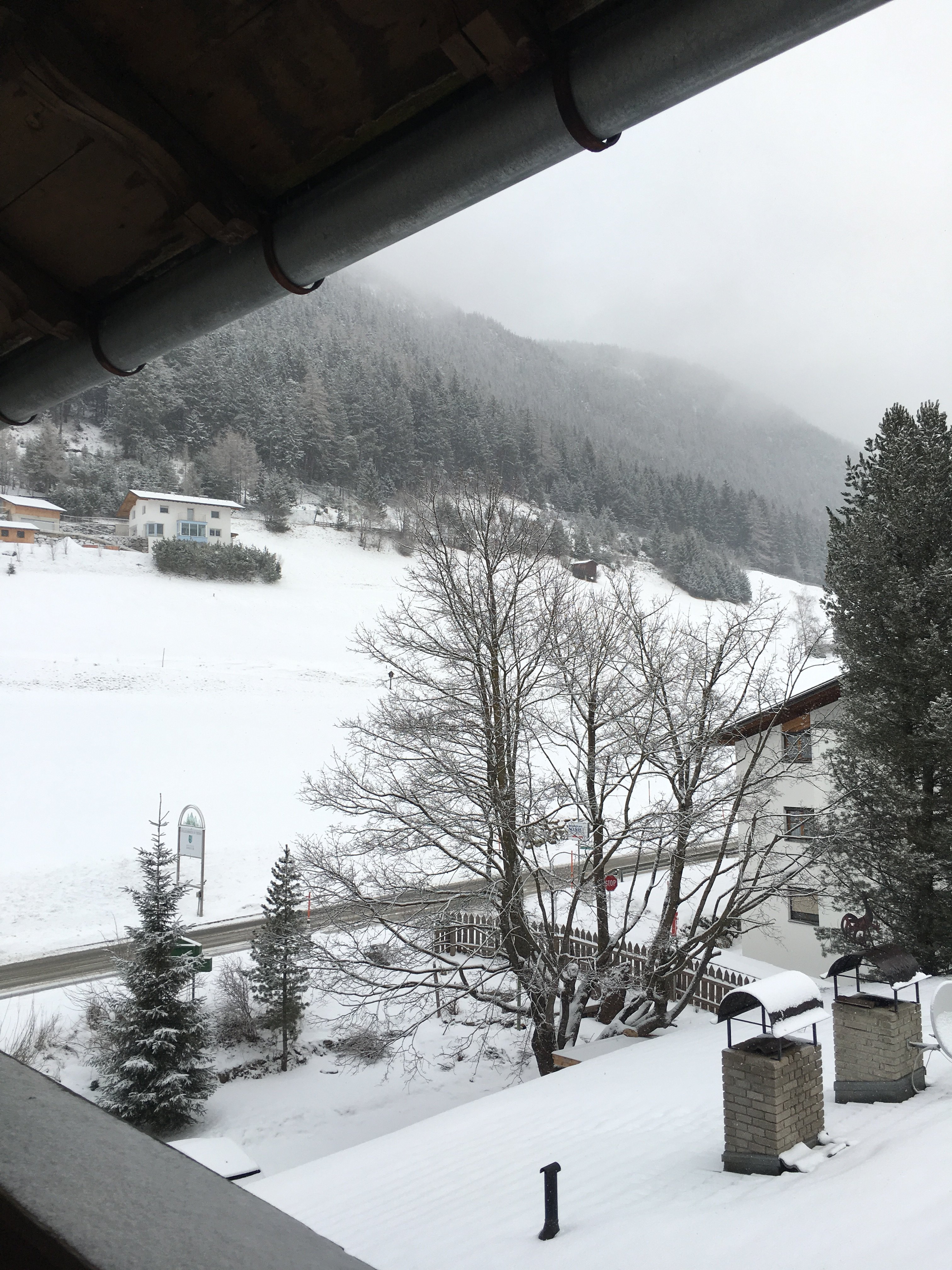 Hotel Trinserhof-官方