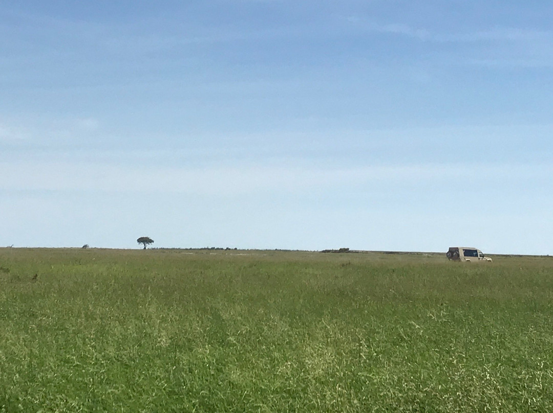 Explora Expedition-纳米比亚埃托沙国家公园必去景点