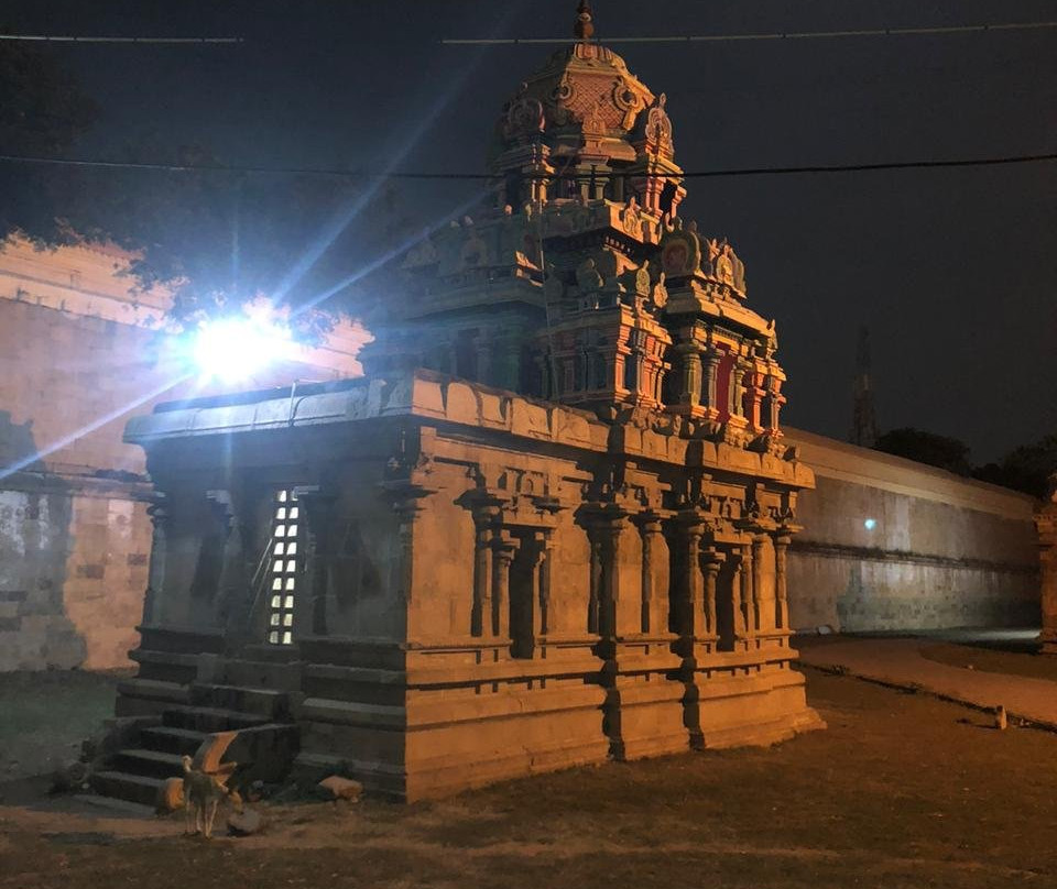 Thyagarajaswamy Temple景点图片