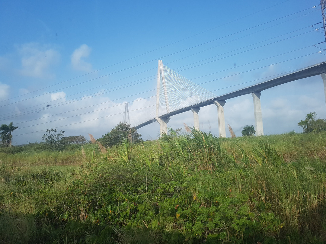 Panama Canal Railway Company-巴拿马城必去景点