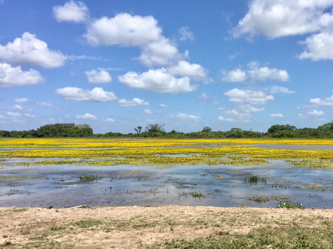 Ecolodge Juan Solito主图