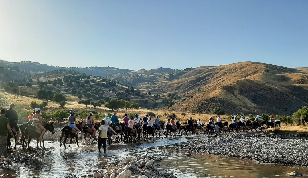 Argonaftis Tours - Kelokedara Donkey Farm景点图片