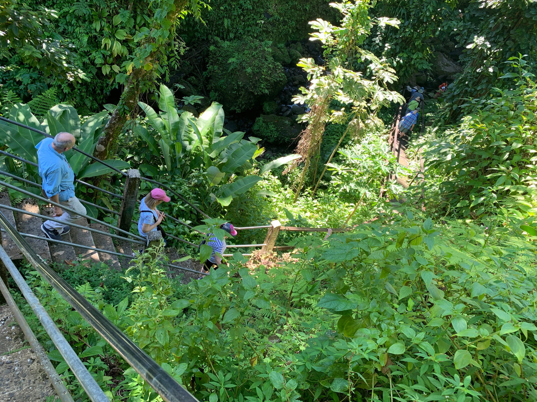 Jacko Falls-Morne Trois Pitons National Park必去景点