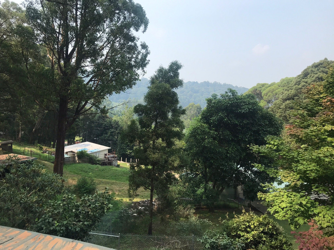 Rustic Refuge Guesthouse主图