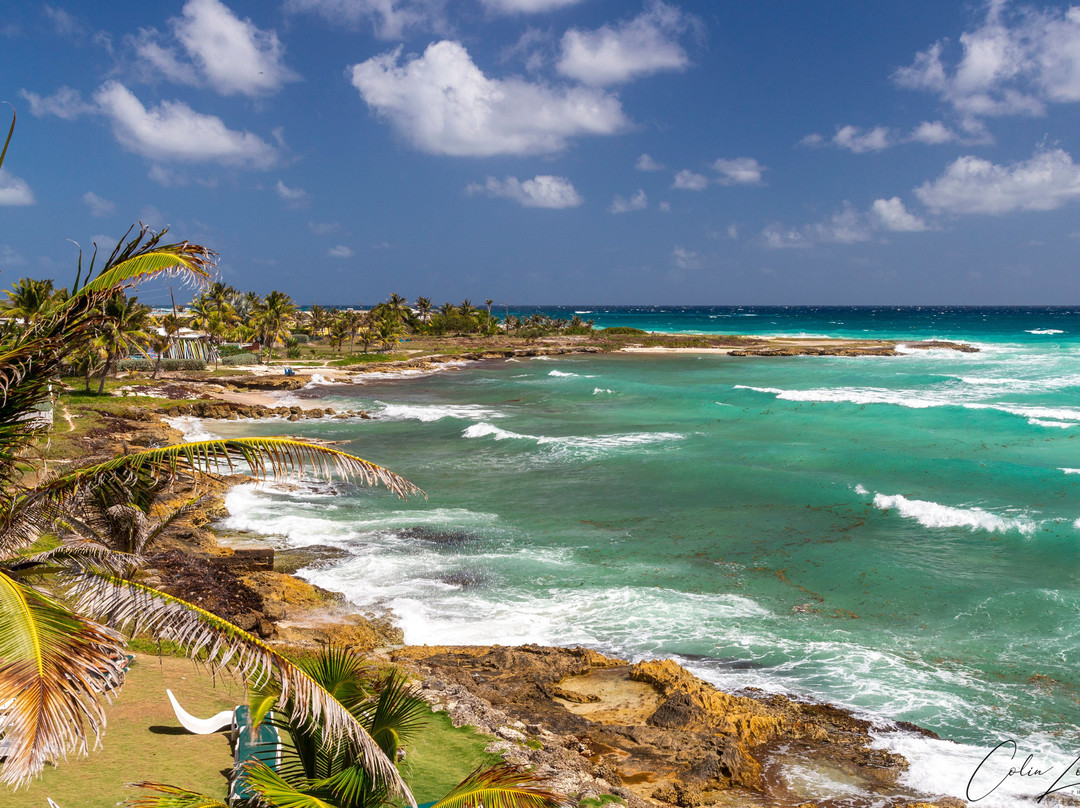 Ocean Spray Beach Apartments主图