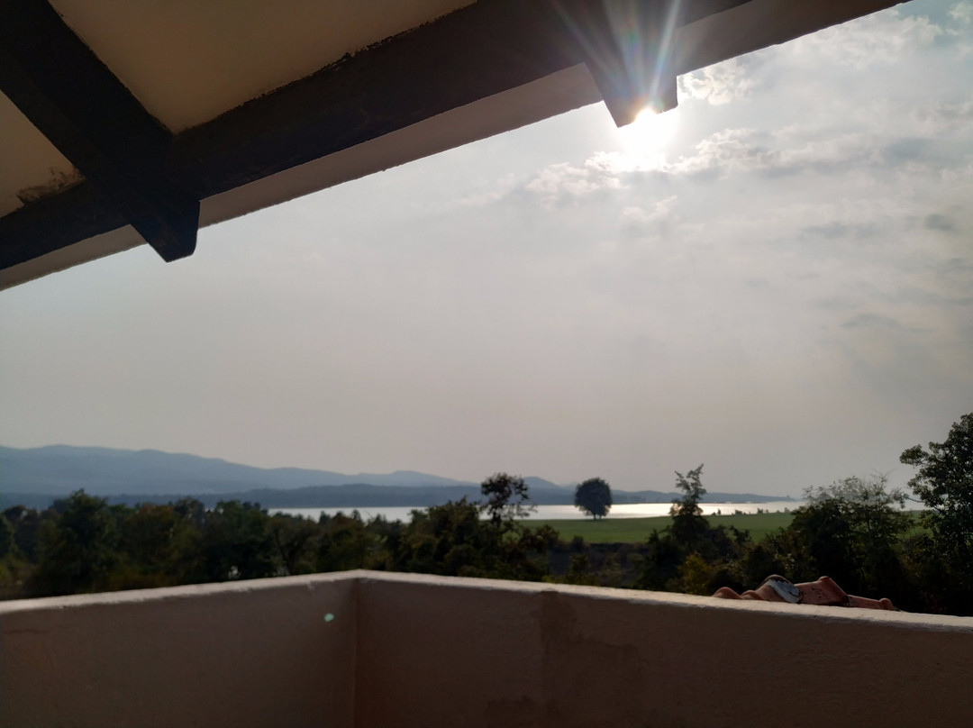 Pugdundee Safari- Denwa Backwater Escape主图