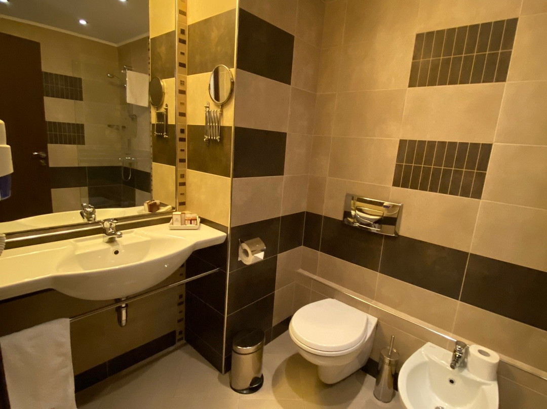 Grami Hotel Sofia主图