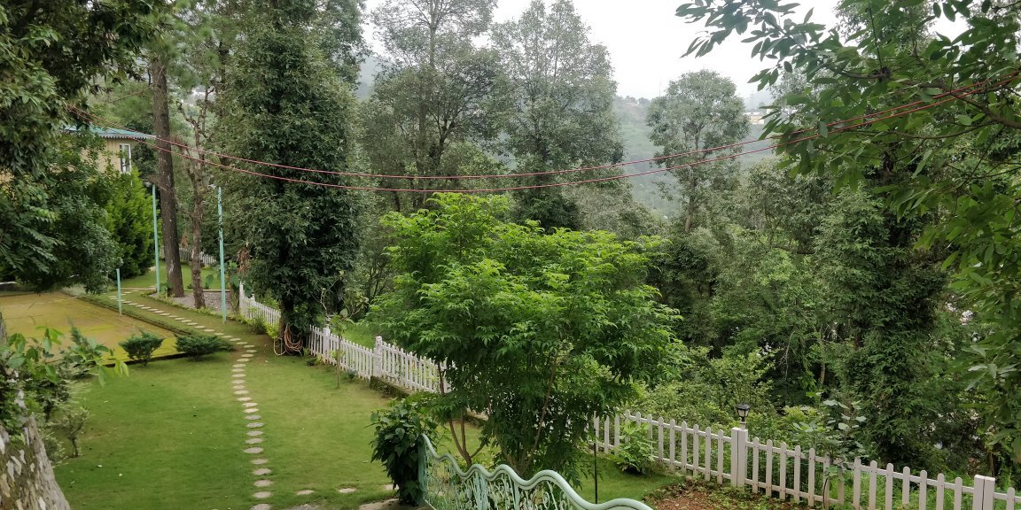 Mistletoe House-官方