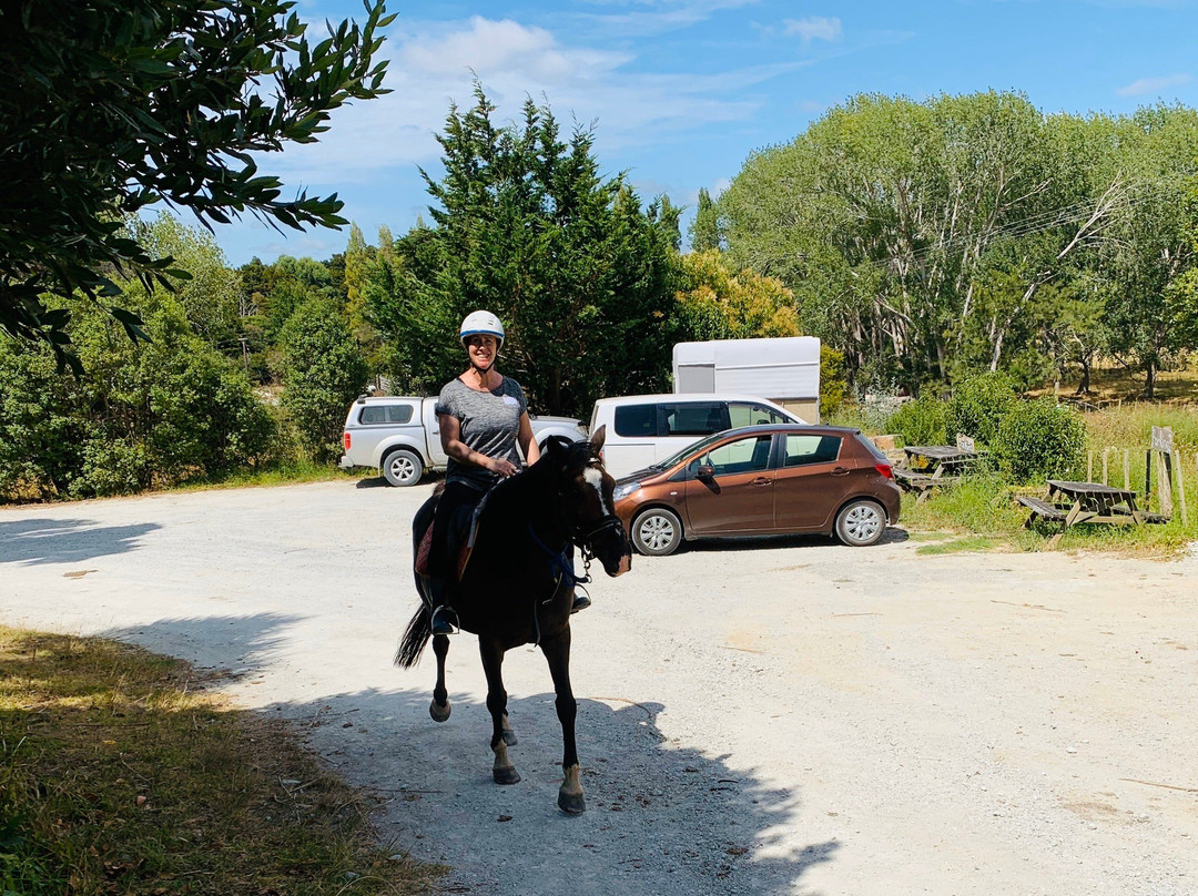 Horse Riding Warkworth-瓦卡沃夫必去景点