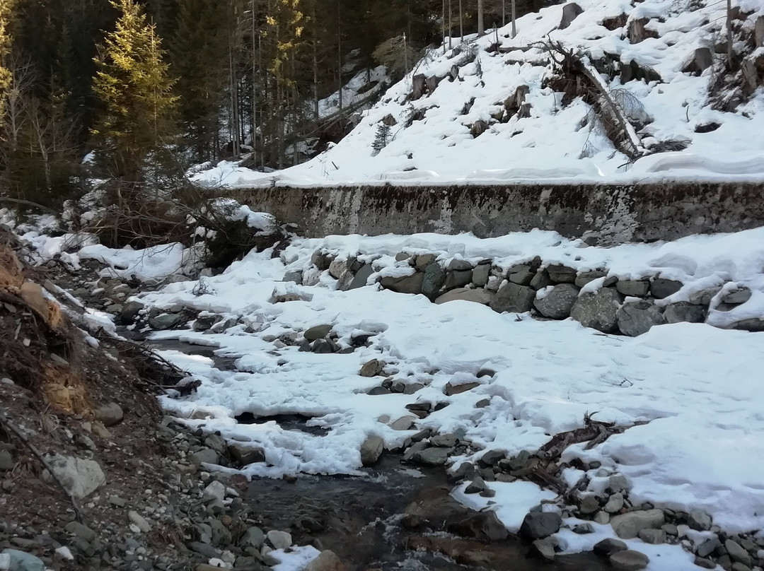 Passeggiata da Pescul al Rifugio Aquileia-Pescul必去景点