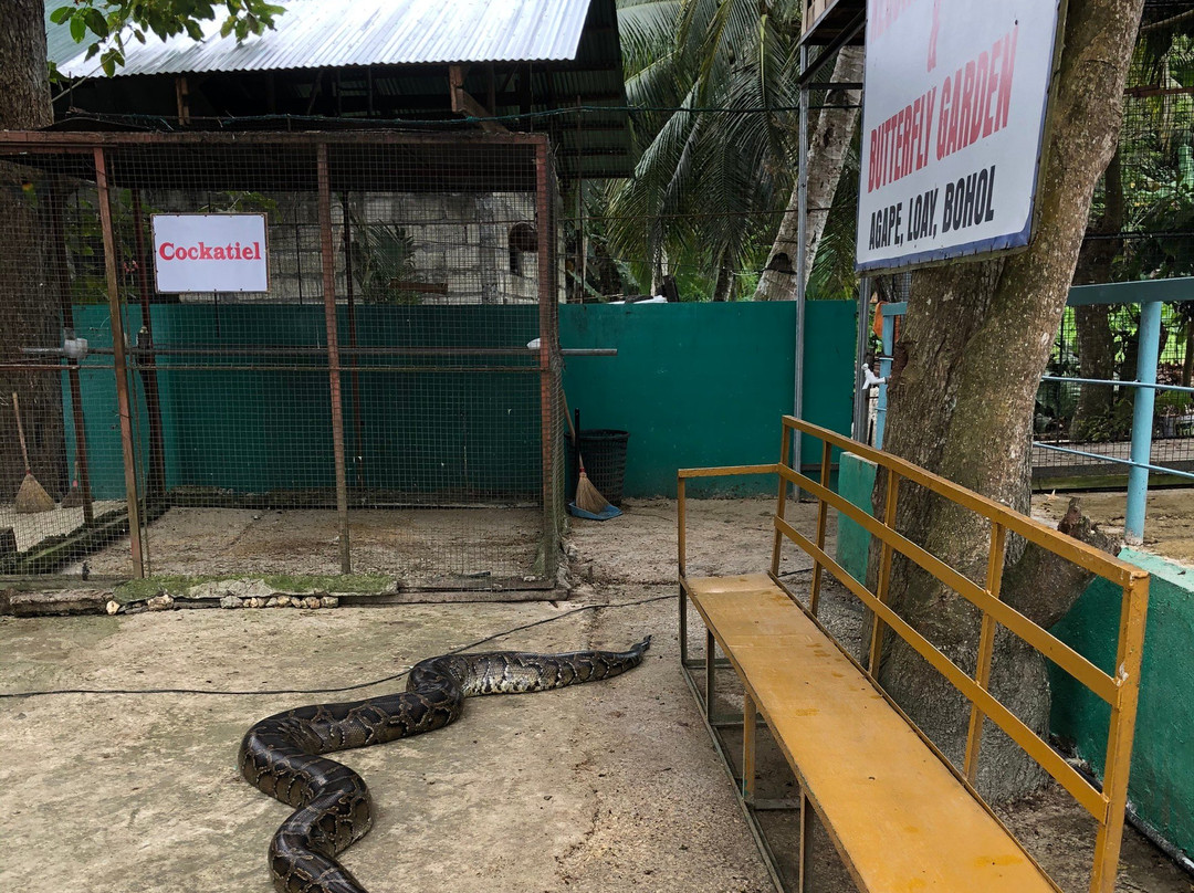Xzootic Animal Park景点图片