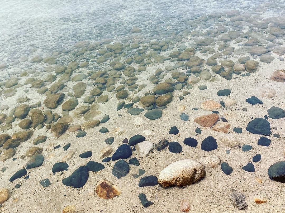 The Idle Hour景点图片