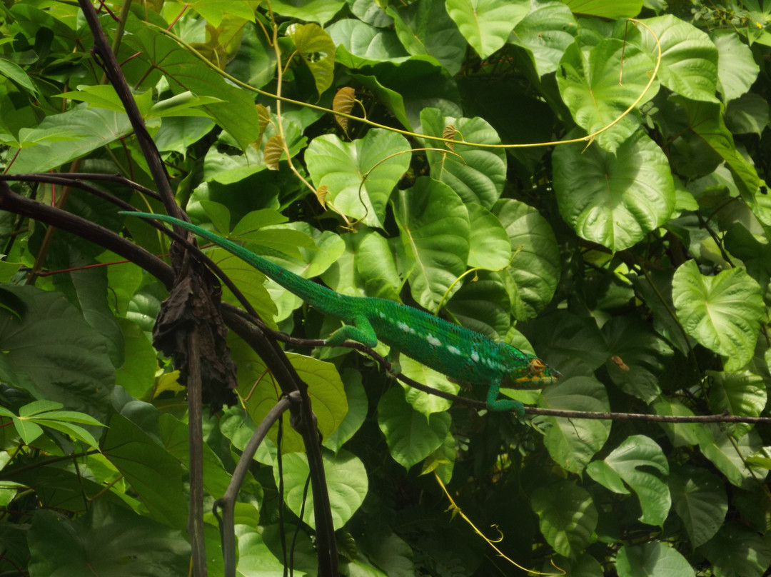 Nosy Tanikely-Nosy Tanihely必去景点