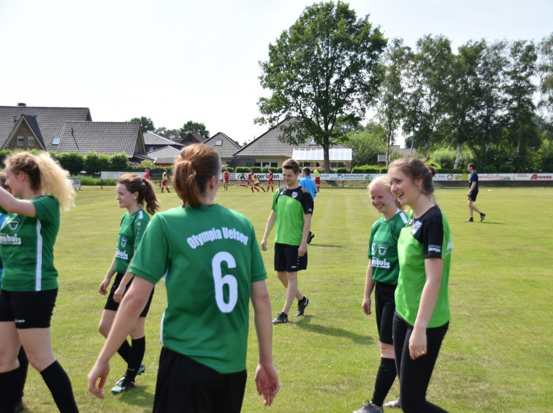 Veldensteiner Forst主图