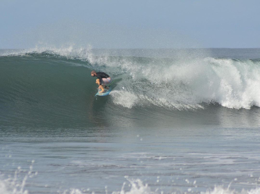 Ecole de surf 461景点图片