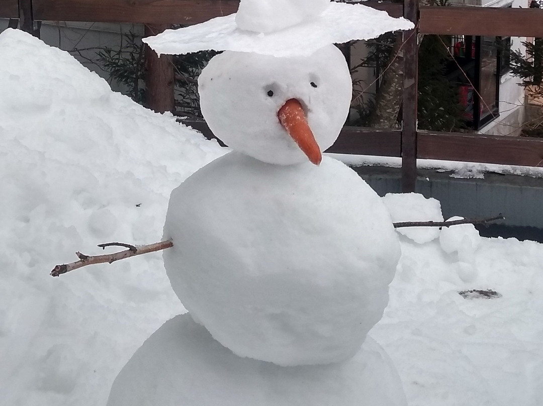 Wadano Forest Hotel & Apartments主图