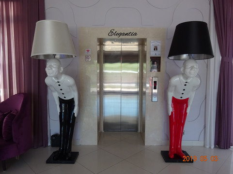 Aster Hotel Group主图