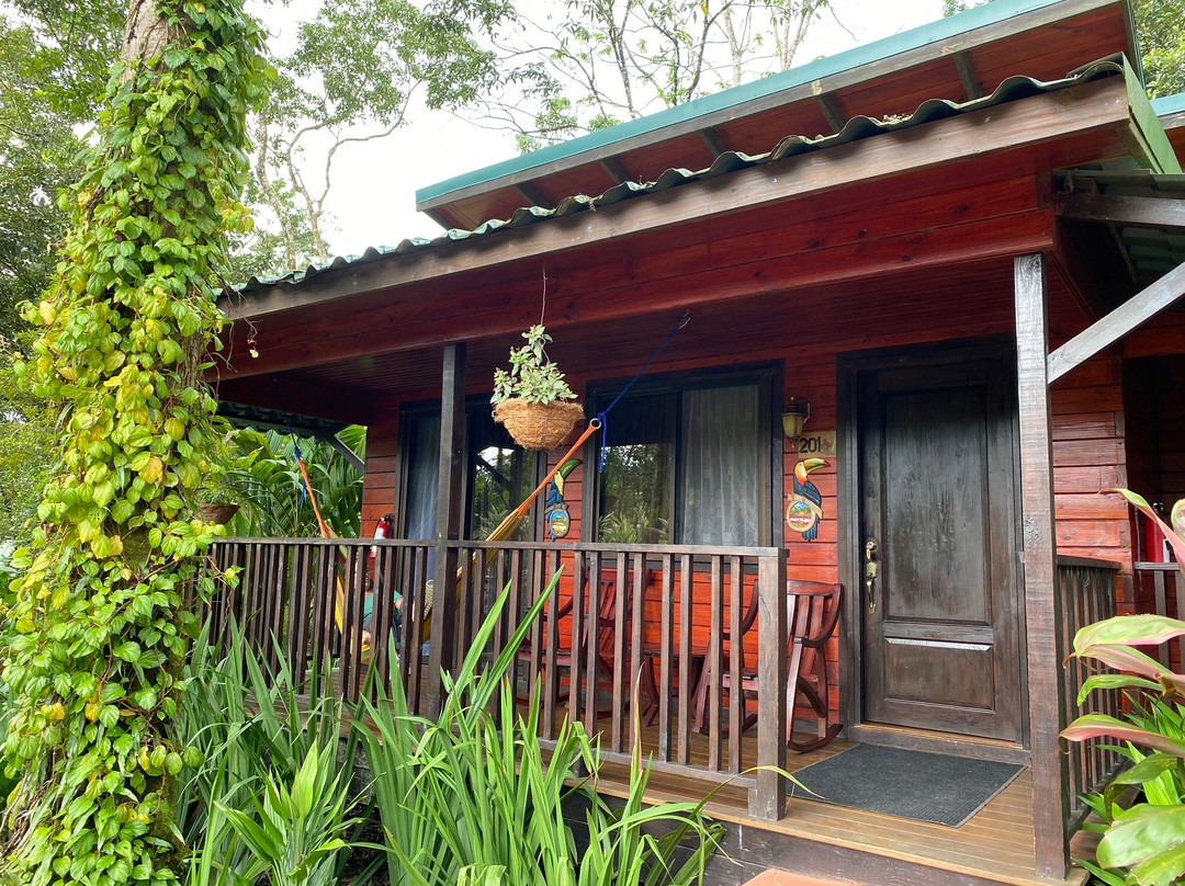 Blue River Hot Springs Eco-Adventure Tours景点图片