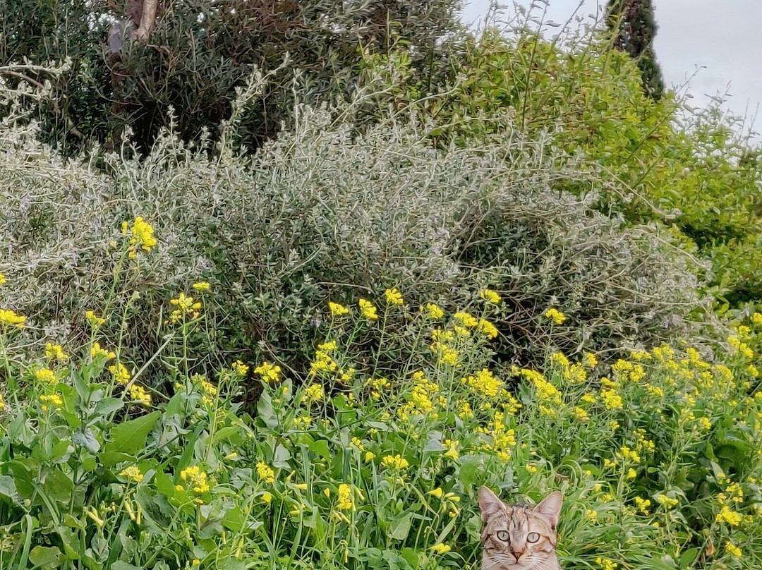 Ta’ Qali National Park-Attard必去景点