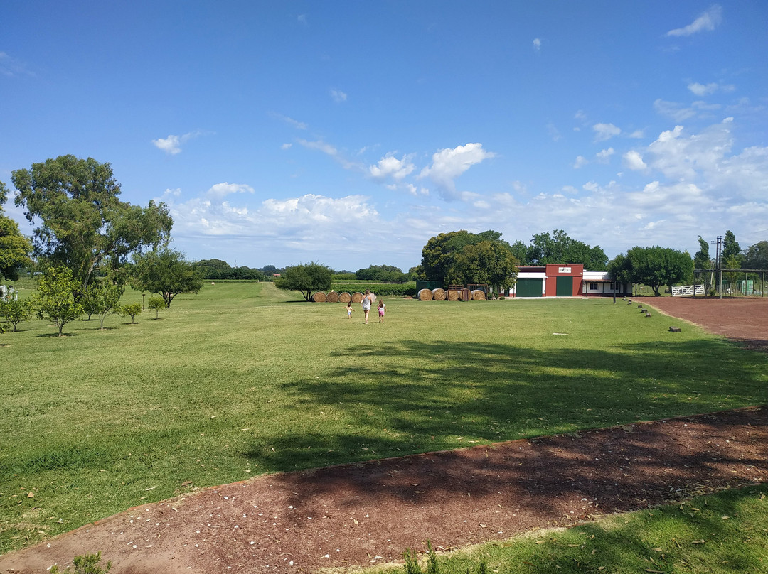 Bodega Campo Tinto-Carmelo必去景点