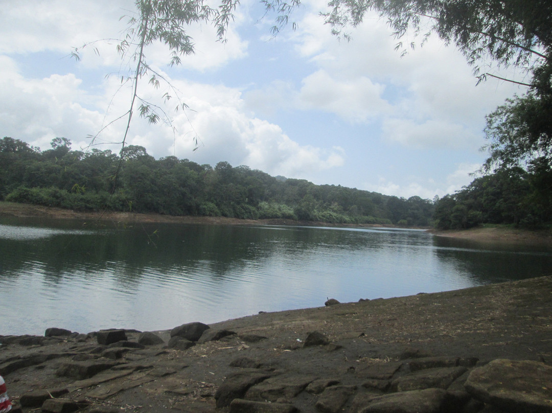 Chalakudy River景点图片
