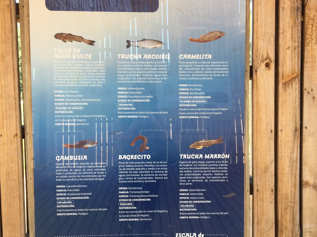 Salto del Itata-Biobio Region必去景点