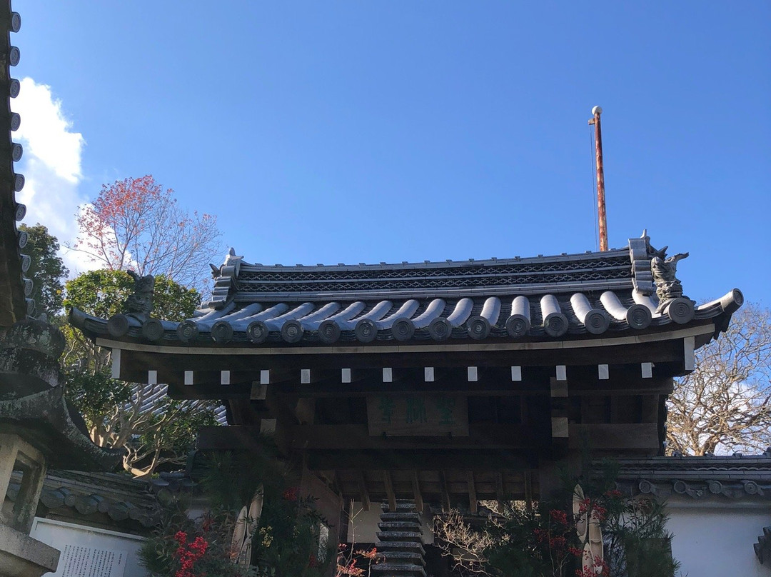 Shorinji-樱井市必去景点