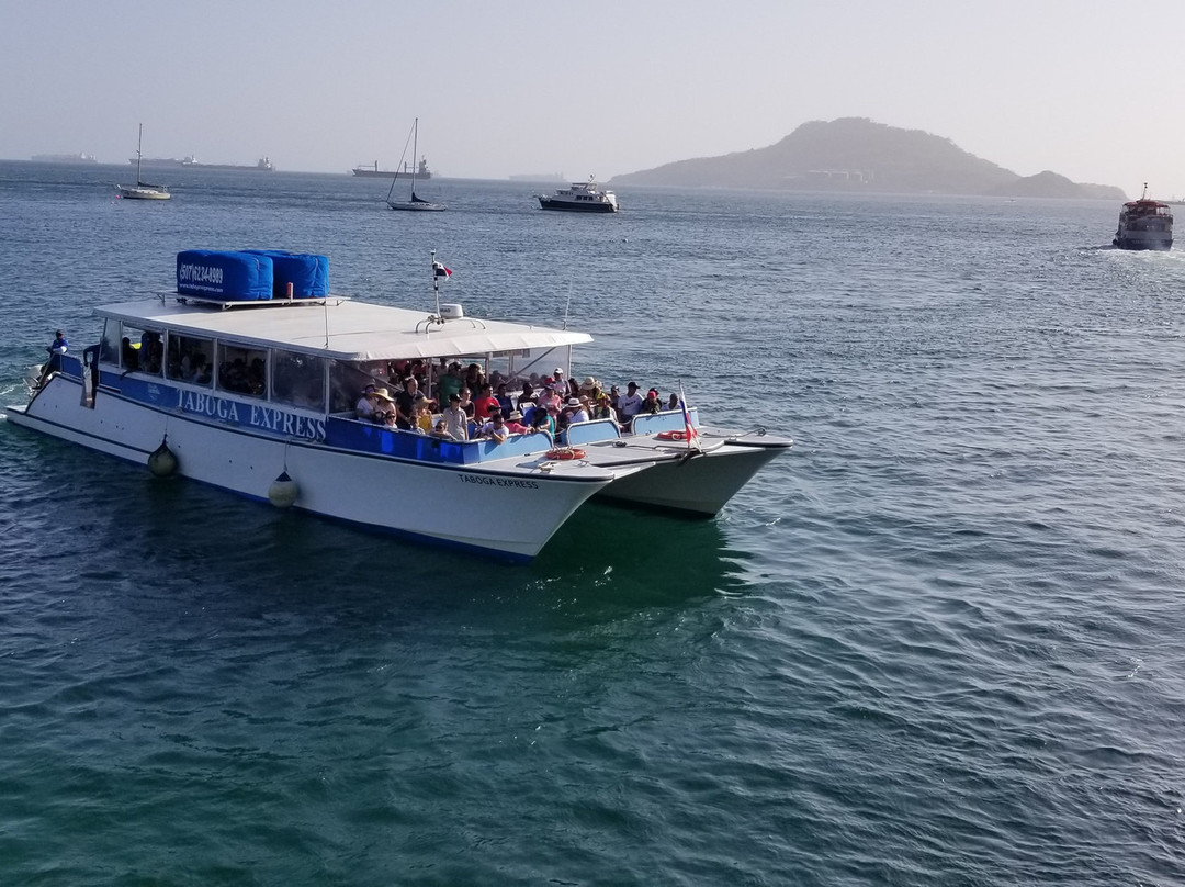 Taboga Express Fast Ferry景点图片
