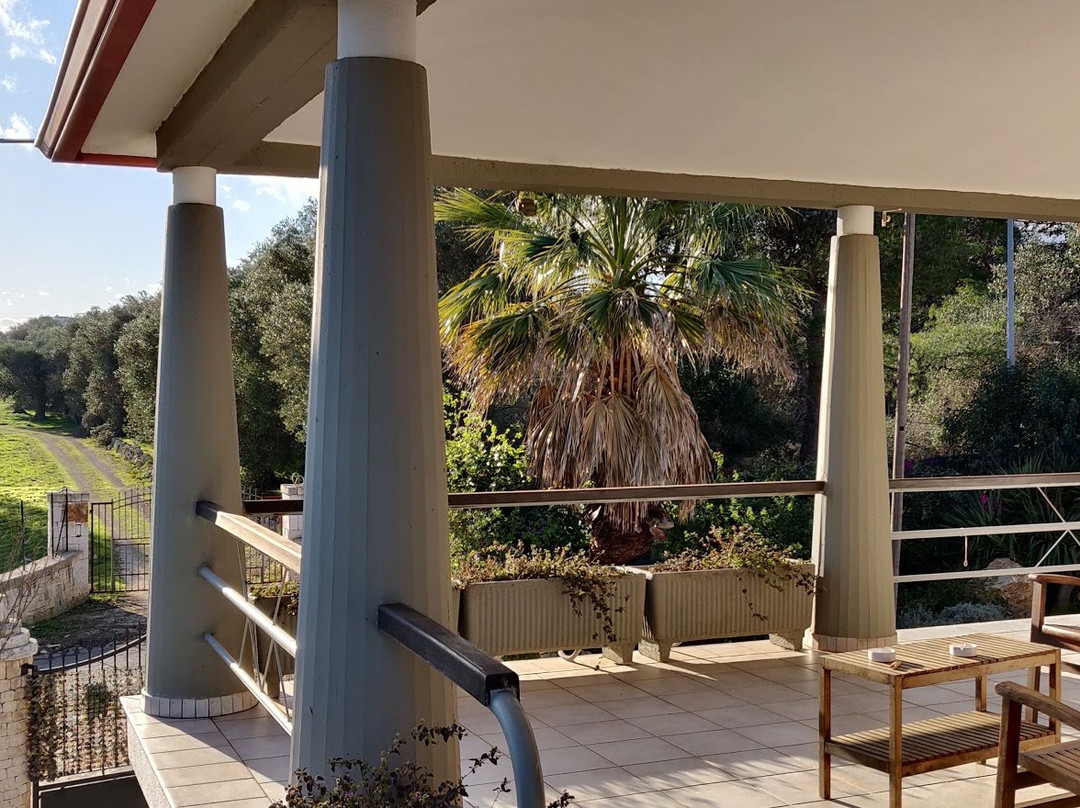 B&B All'Ombra degli Ulivi主图