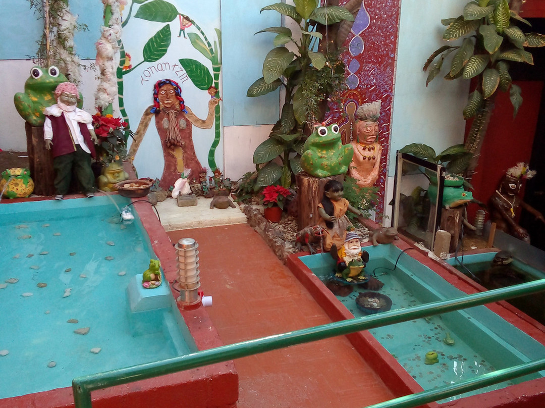 Temazcal casa las máscaras-瓦哈卡必去景点