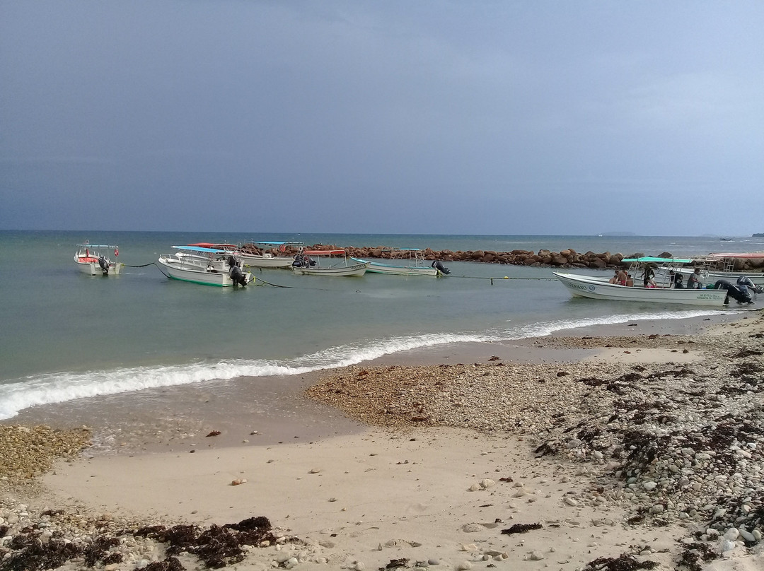 Playa Punta De Mita景点图片