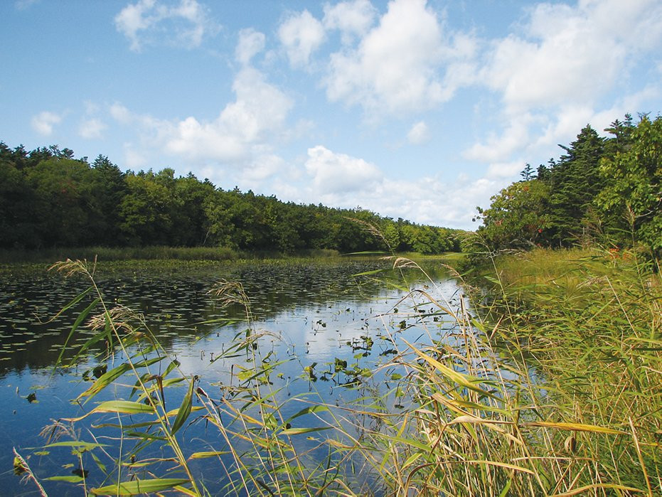 Rishiri-Rebun-Sarobetsu National Park-利尻町必去景点