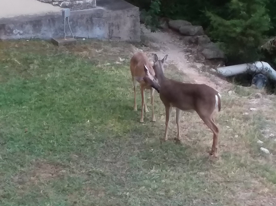莱克韦温泉度假酒店主图