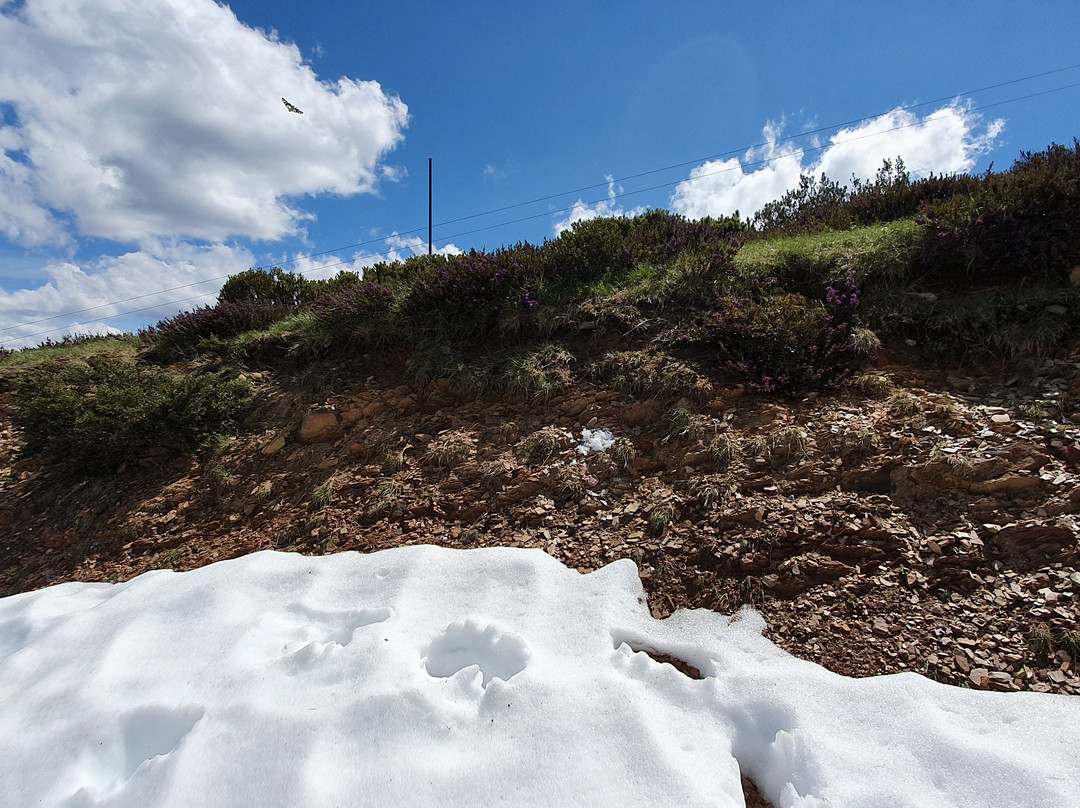 Mount Hotham Alpine Resort-Mount Hotham必去景点