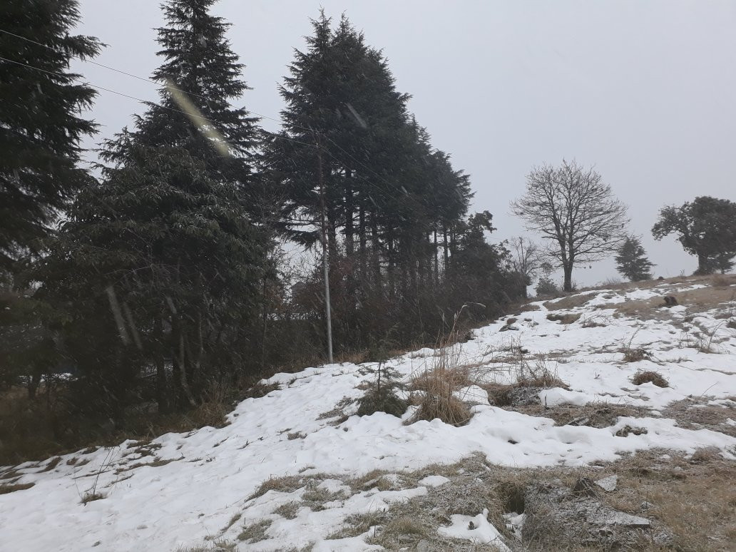 Bliss of Nature主图