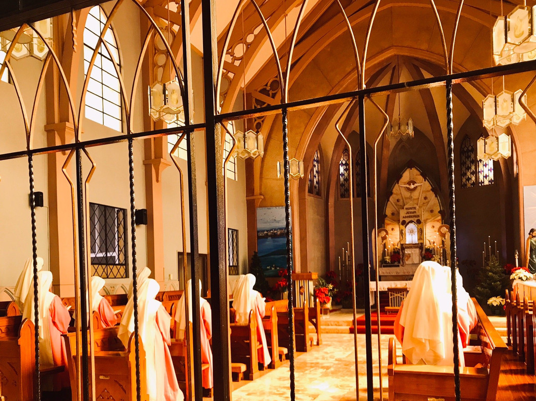 Adoration Convent of the Divine Mercy景点图片