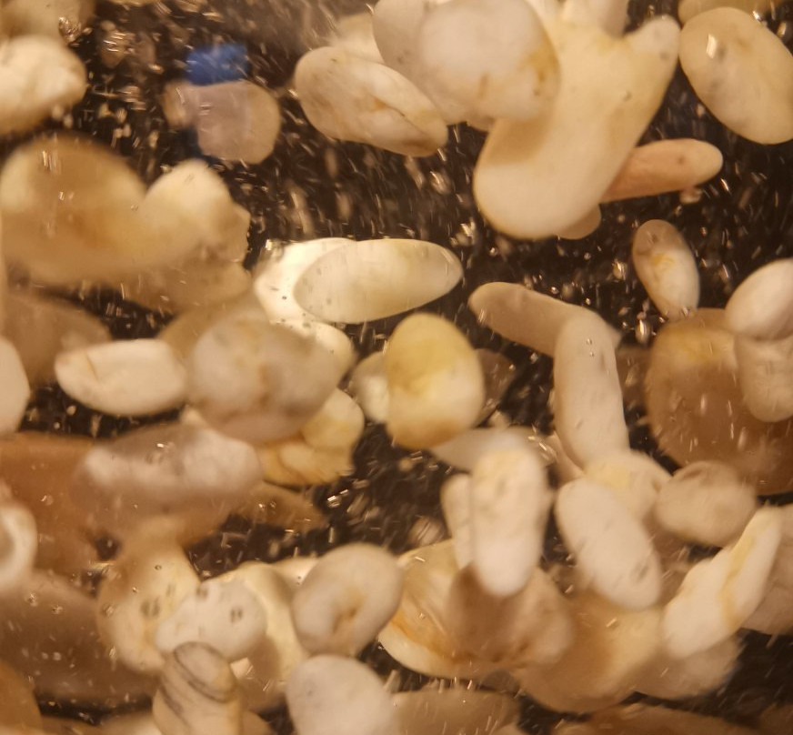 麦德林天文馆-麦德林必去景点