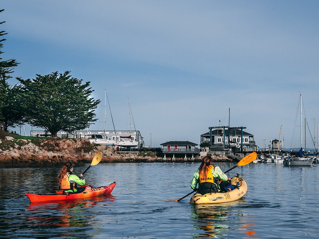 Monterey Bay Kayaks-蒙特雷必去景点