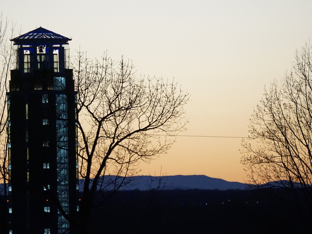 Fairfield Inn & Suites by Marriott Lynchburg Liberty University主图